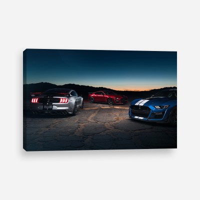 Tablou canvas Ford Mustang Shelby GT500