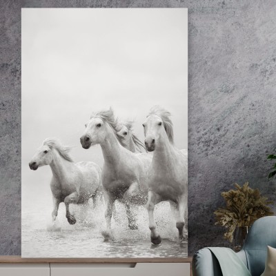 Tablou cu cai Stallion looks 70x50cm