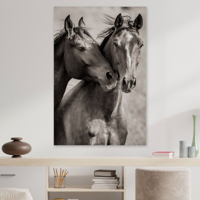 Tablou cu cai Best friends 50x70cm