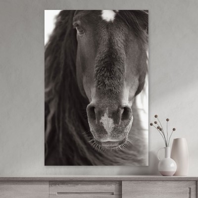 Tablou cu cai Curiosity 60x90cm