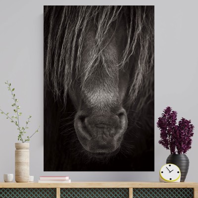 Tablou cu cai Protector 90x60cm