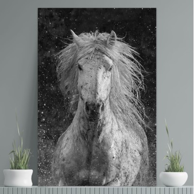 Tablou cu cai Splash 100x70cm