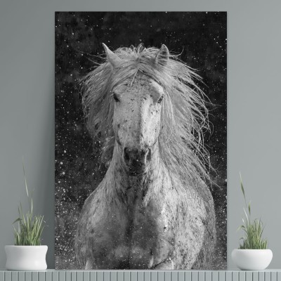 Tablou cu cai Splash 100x70cm