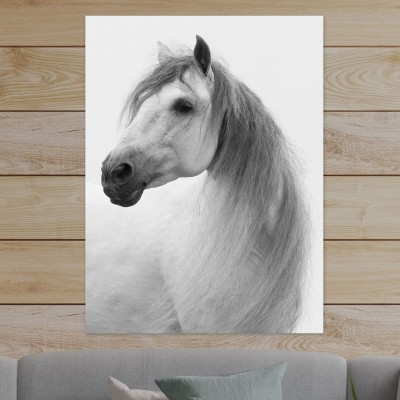 Tablou cu cai White stallion turns 90x60cm