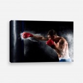 Tablou canvas boxer