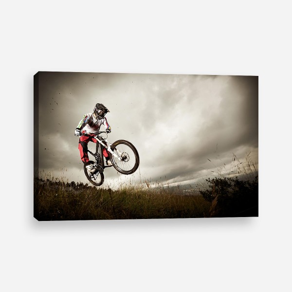 Tablou canvas mountain bike