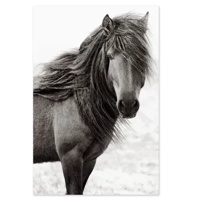 Tablou cu cai Rugged beauty 90x60cm — miniatura 2