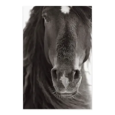 Tablou cu cai Curiosity 60x90cm — miniatura 2
