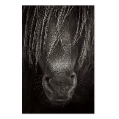 Tablou cu cai Protector 90x60cm — miniatura 2