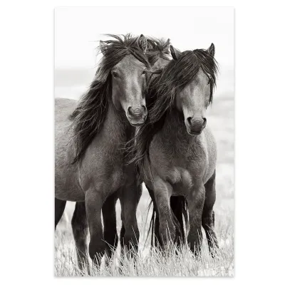 Tablou cu cai Horse Beauty 70x100cm — miniatura 2