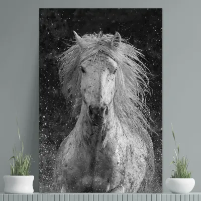 Tablou cu cai Splash 100x70cm