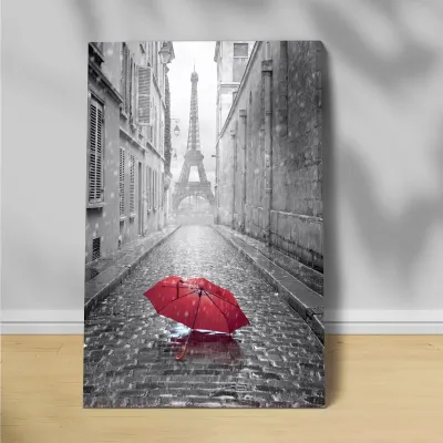 Tablou pe panza canvas umbrela rosie