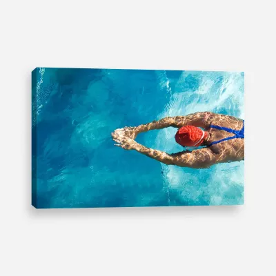 Tablou canvas inotatorul — miniatura 1