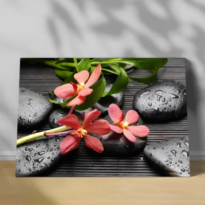 Tablou feng shui orhidee imperiala si pietre Zen