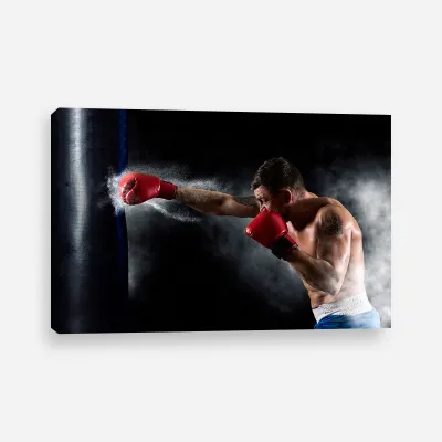 Tablou canvas boxer
