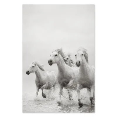 Tablou cu cai Stallion looks 70x50cm — miniatura 2