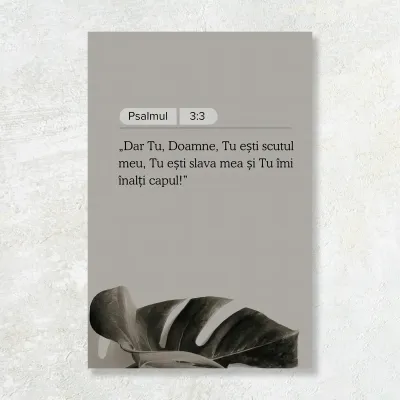 Tablou Canvas Versete biblice - Psalmul 3:3