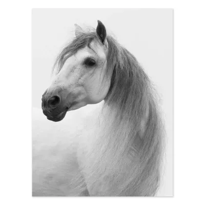 Tablou cu cai White stallion turns 90x60cm — miniatura 2