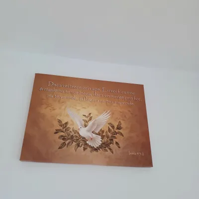 Poză de la un client