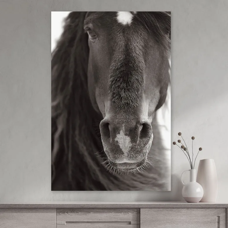 Tablou cu cai Curiosity 60x90cm