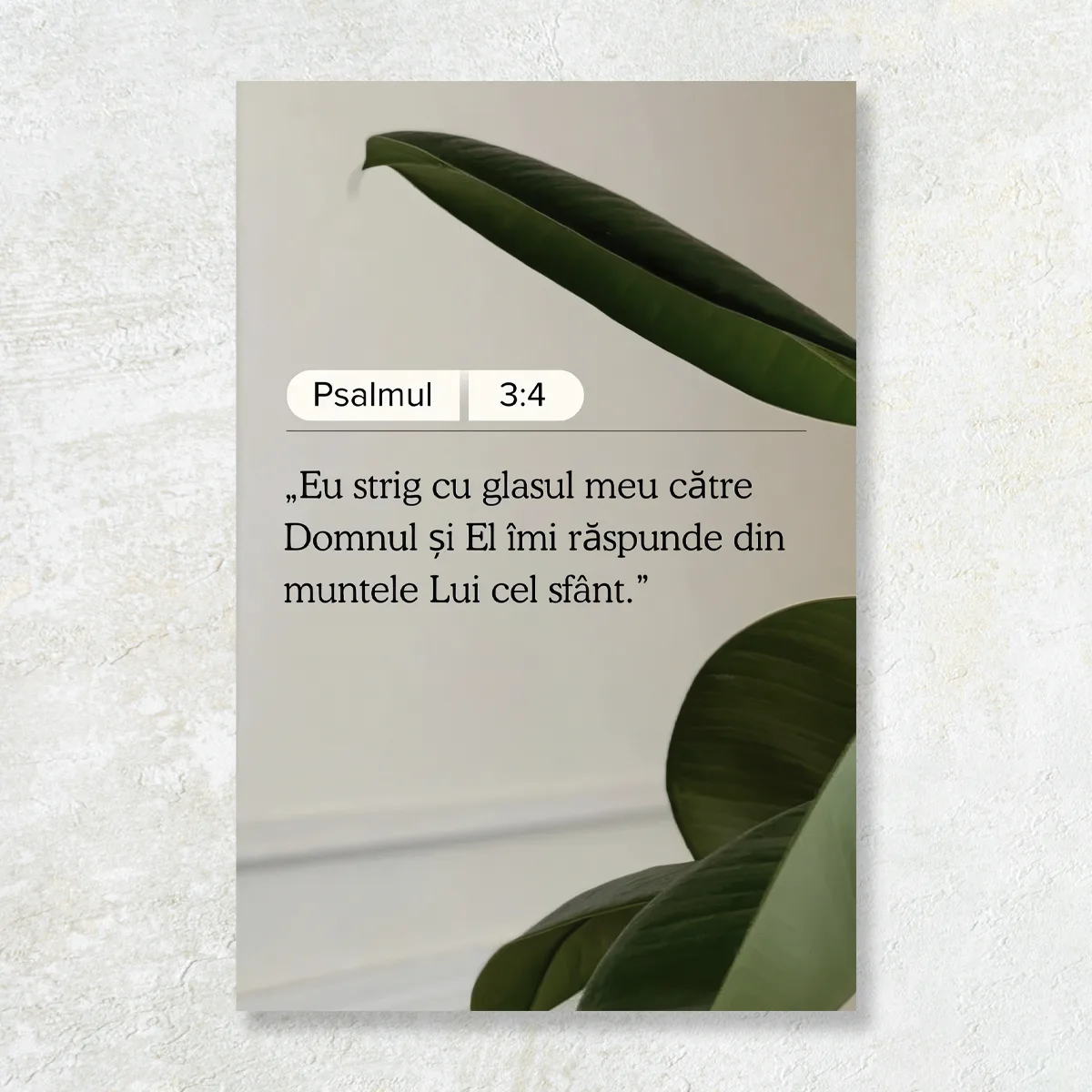 Tablou Canvas Versete biblice - Eu strig cu glasul meu