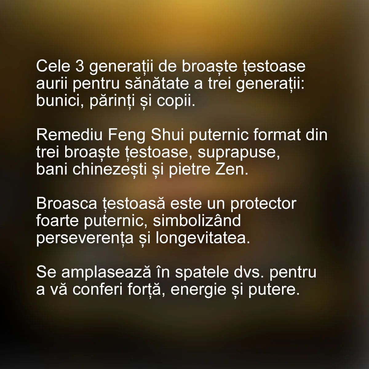 Tablou Feng Shui broastele celor trei generatii — imaginea 2