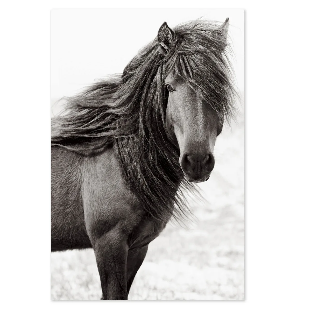 Tablou cu cai Rugged beauty 90x60cm — imaginea 2