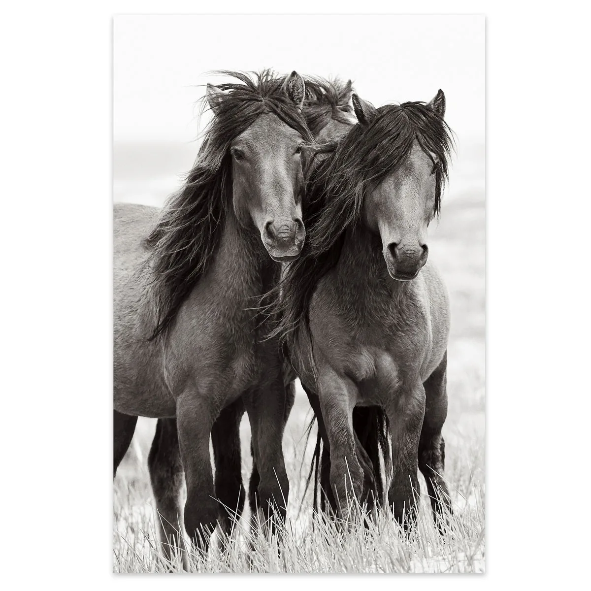 Tablou cu cai Horse Beauty 70x100cm — imaginea 2