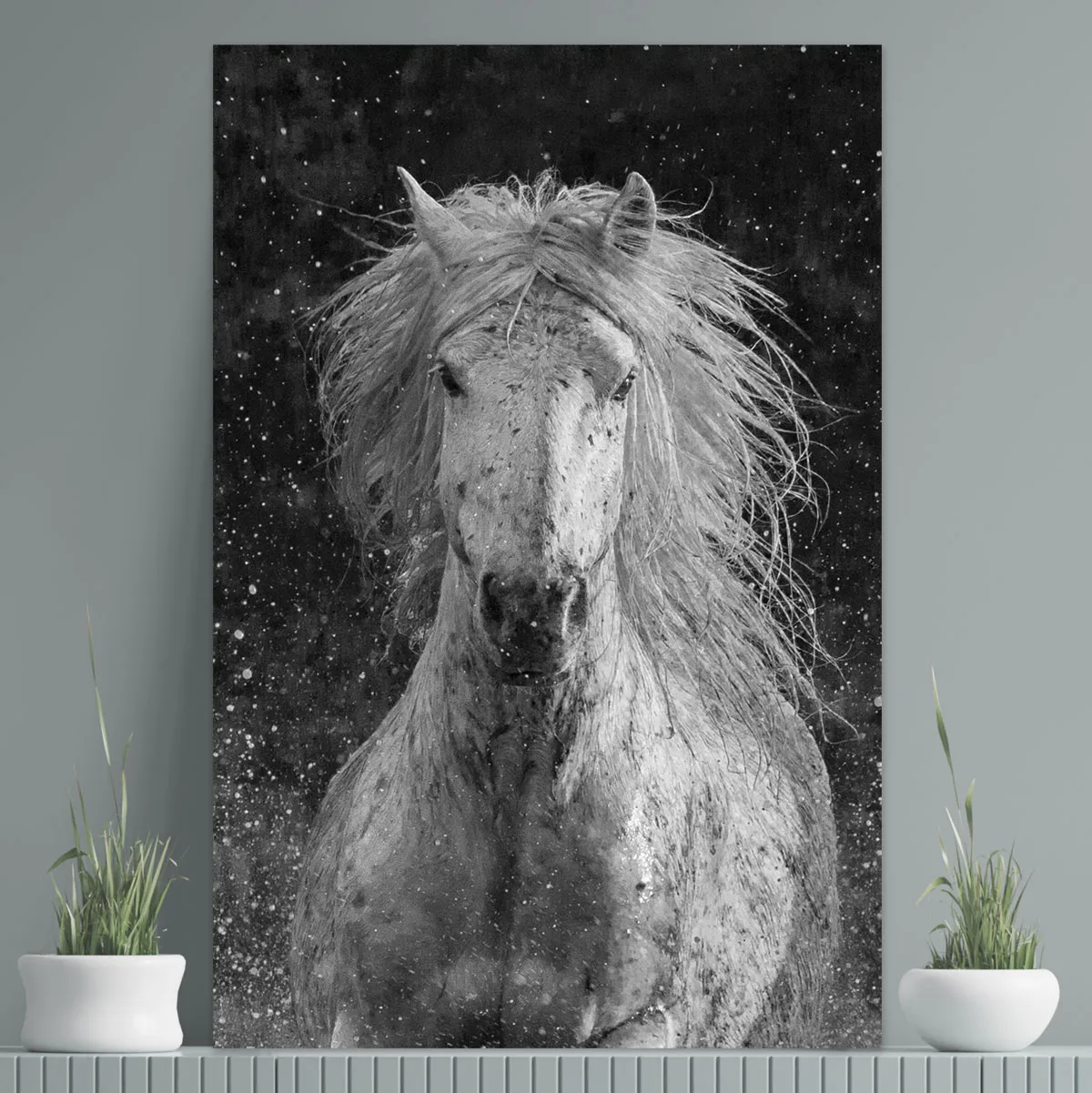Tablou cu cai Splash 100x70cm