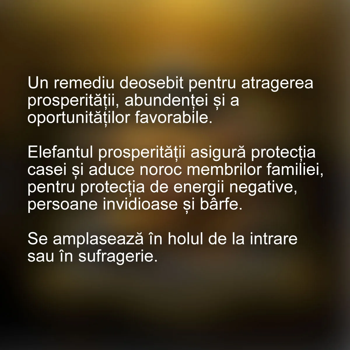 Tablou feng shui elefantul prosperitatii — imaginea 2