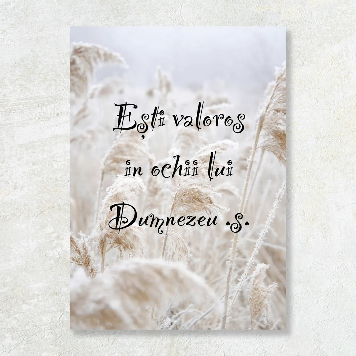 Tablou Canvas Versete biblice - Esti valoros in ochii lui Dumnezeu