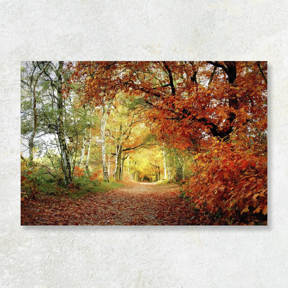 Tablou Canvas Culorile Timpului
