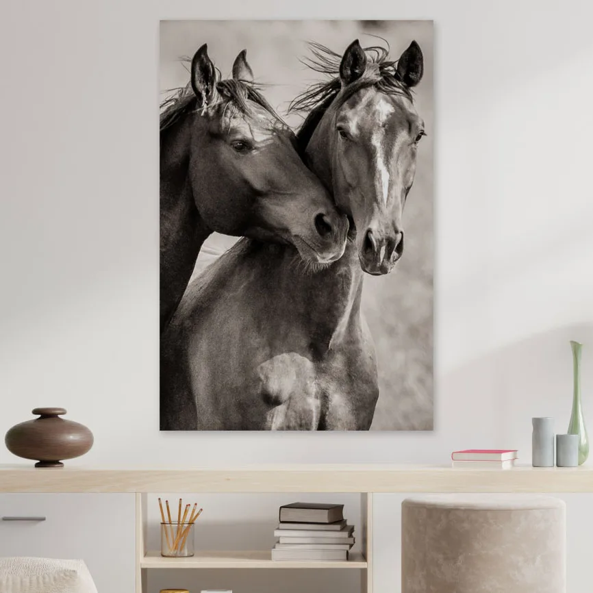 Tablou cu cai Best friends 50x70cm