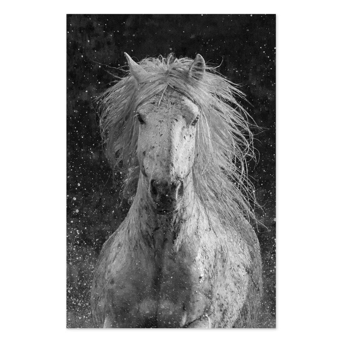 Tablou cu cai Splash 100x70cm — imaginea 2