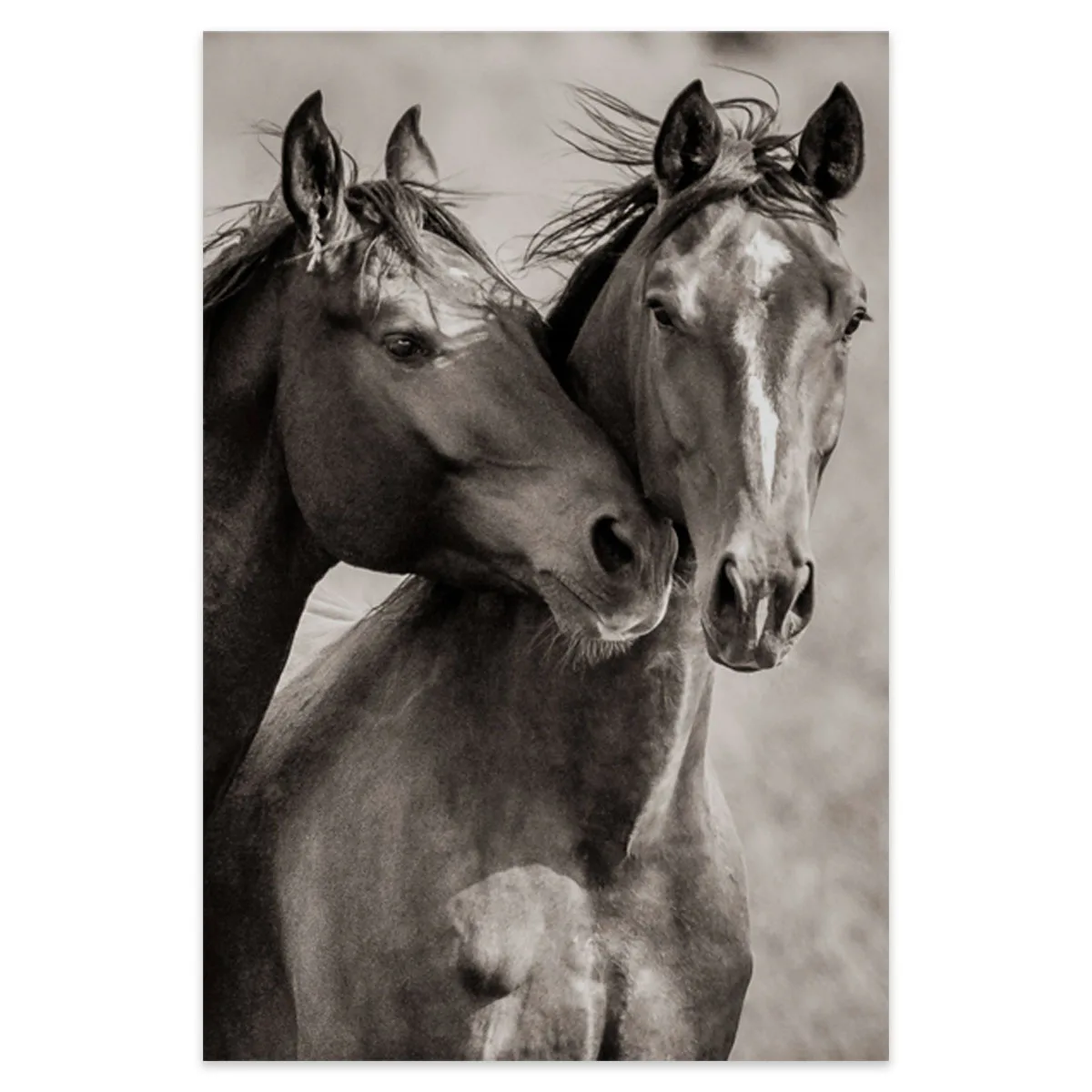 Tablou cu cai Best friends 50x70cm — imaginea 2