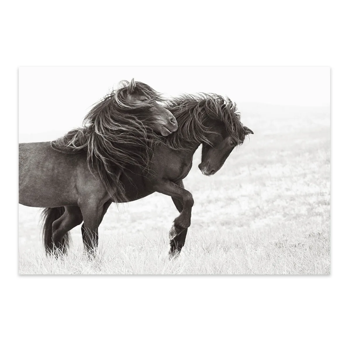 Tablou cu cai Rendezvous 100x70cm — imaginea 2
