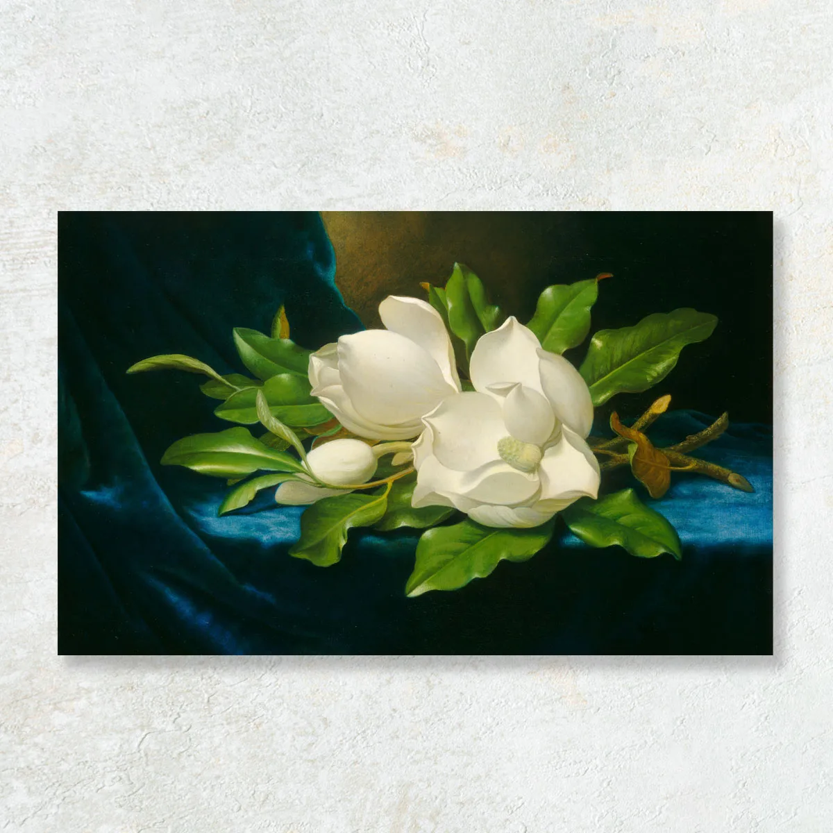 Tablou Magnolie uriasa pe catifea albastra, Martin Johnson Heade