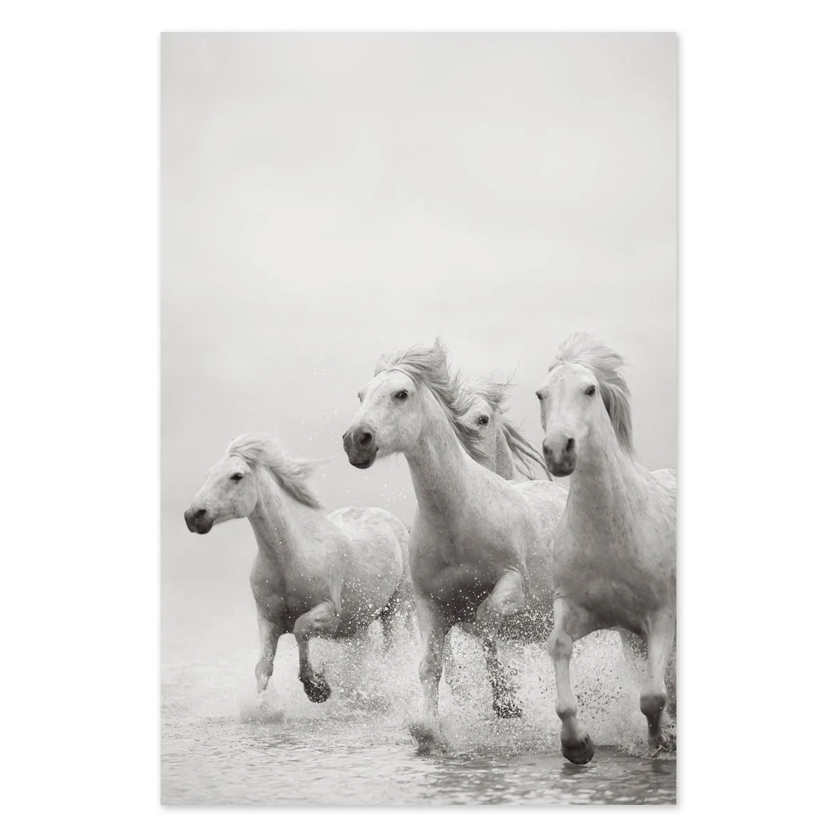 Tablou cu cai Stallion looks 70x50cm — imaginea 2