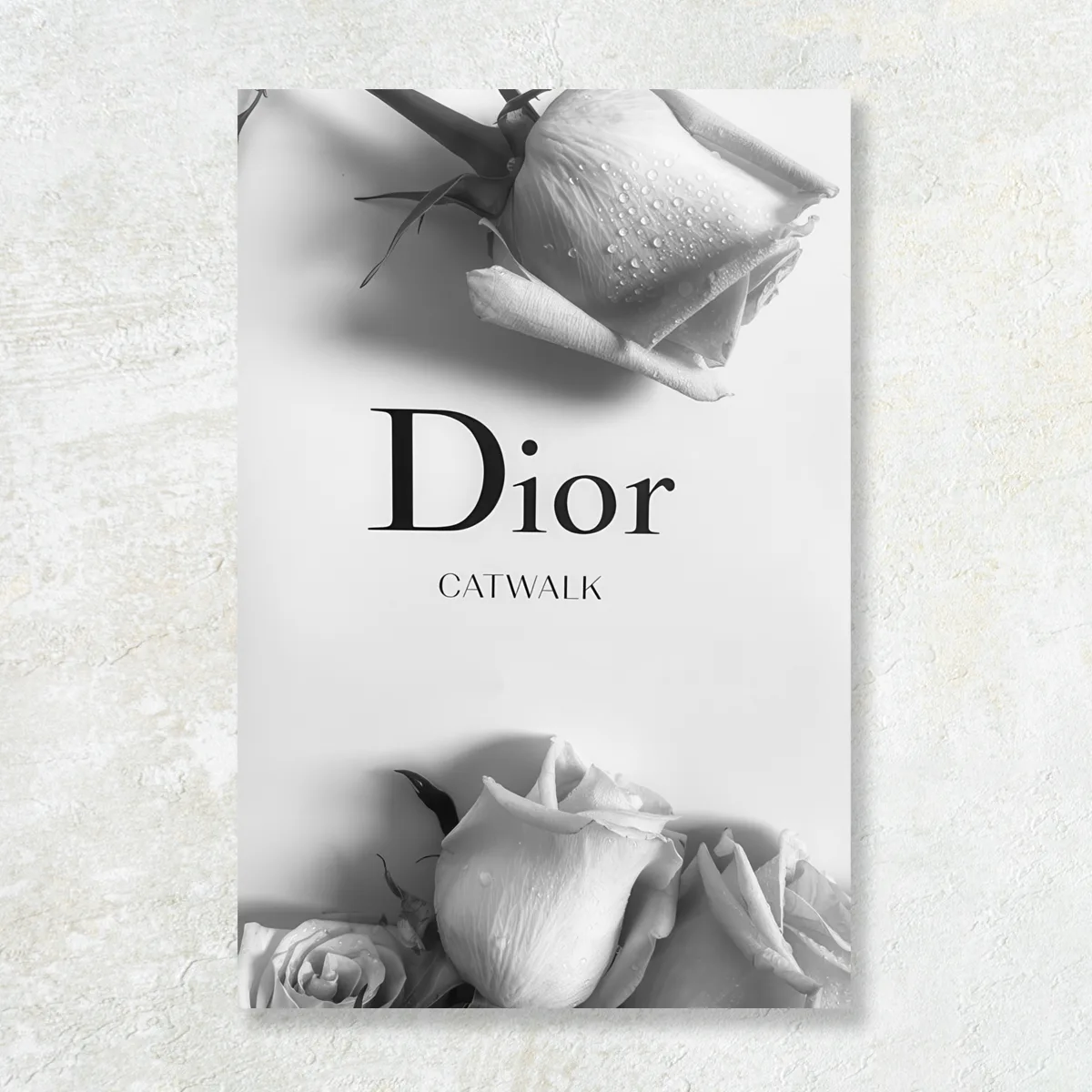 Tablou canvas Dior: Eleganță în Puritate