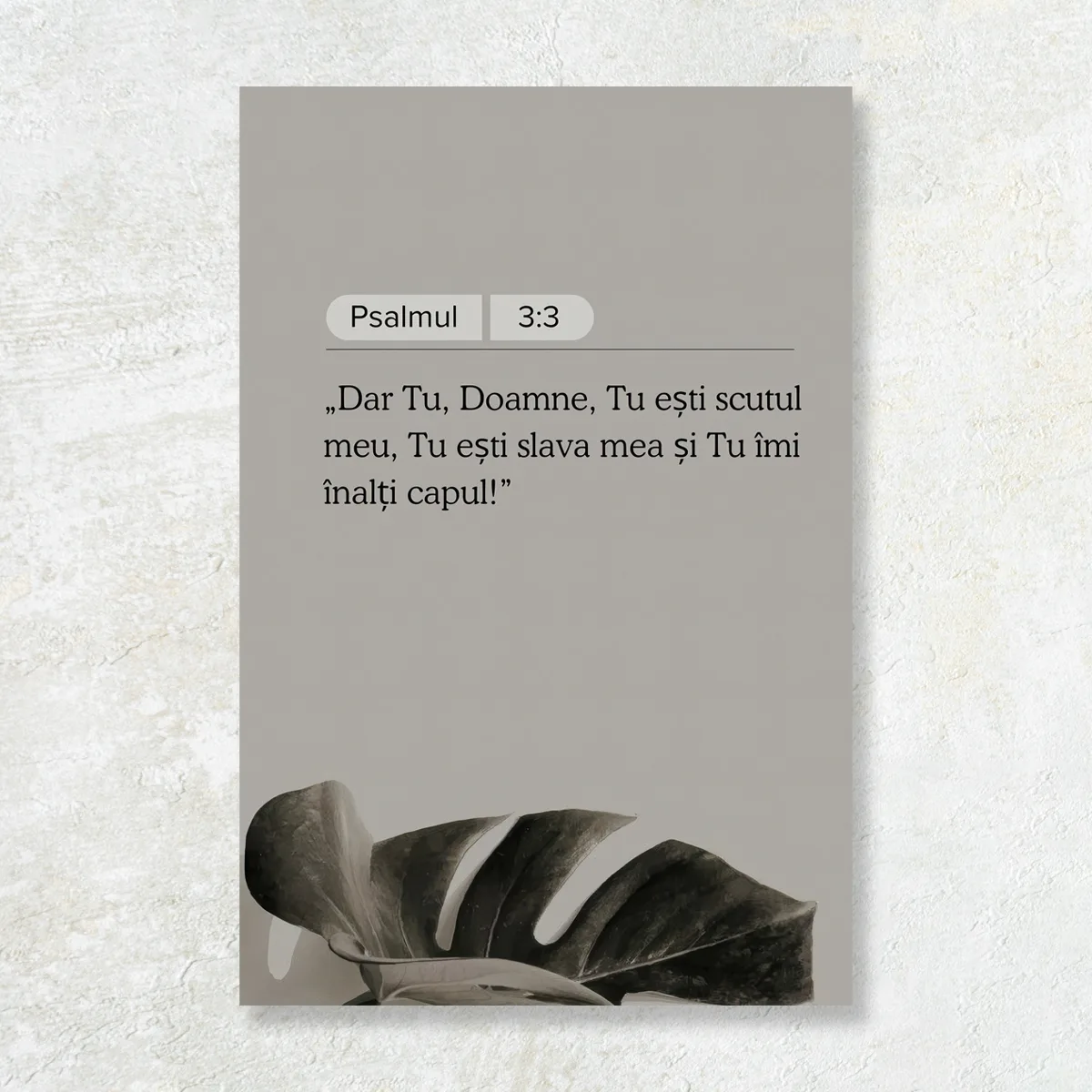Tablou Canvas Versete biblice - Psalmul 3:3