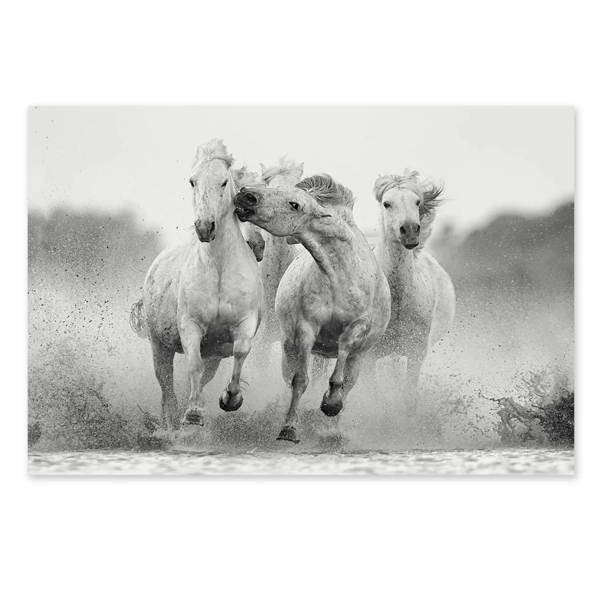 Tablou cu cai Integrity 90x60cm — imaginea 2